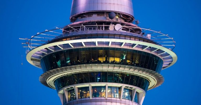 Residential Construction East Auckland Focused on Quality, Comfort, and Long-Term Value